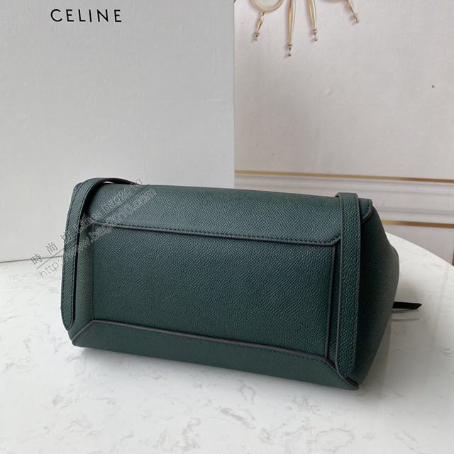 Celine女包 賽琳經典款大號女包 Celine belt bag 掌紋牛皮鯰魚包 189103  slyd2205